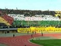 شاهد الفيديو : الجزائر لا تنسى فلسطين أبدا !