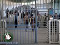 اعتقال غزي اثناء زيارته لابنائه المعاقين بالضفة على حاجز بيت حانون