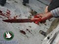 شاب يعترف بقتل والده واخفاء الجثة في منطقة حرجية غرب بيت لحم