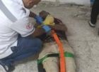 العثور على جثمان عامل من غزة داخل مقر لجنة زكاة طولكرم بعد اقتحام الاحتلال
