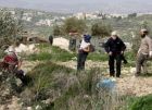 مستوطنون يهاجمون منازل المواطنين في خلايل اللوز جنوب شرق بيت لحم