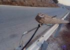 مستوطنون يقطعون أعمدة كهرباء في مادما جنوب نابلس
