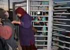تصاريح العمل للنساء في إسرائيل يثير تساؤلات بغزة