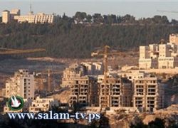 وزير إسرائيلي إذا لم يعودوا للتفاوض فقد يلغى تجميد الاستيطان