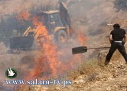 مستوطنون يحرقون 5 دونم مزروعة لاهالي قرية جيت قضاء نابلس
