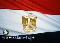 مصر تعلن اكتشاف احتياطيات نفطية بحرية قدرها 65 مليون برميل