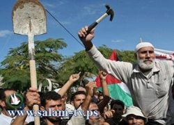 طولكرم - عملية نصب جديدة بحق العمال ابطالها سماسرة فلسطينيين