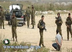 يحمل سكينا ويهتف الله اكبر : الاحتلال يصيب شابا شرق قلقيلية ويعتقله