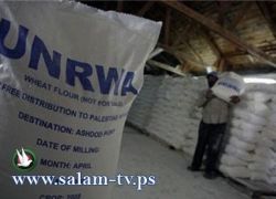لجان الخدمات تقرر فتح مكاتب وكالة الغوث