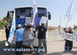 عشرات الاسرائيليين يهاجمون حافلة لاهالي الاسرى متجهة لسجن ريمون بالنقب