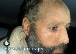 سيف الإسلام القذافى طلب من الثوار إطلاق النار على رأسه