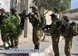 الاحتلال يعتقل قياديا في الجهاد الاسلامي في جنين