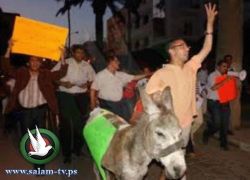 الأردن: مسيرة لـ 76 حماراً تنطلق من أمام مجلس النواب باتجاه مجلس الوزراء