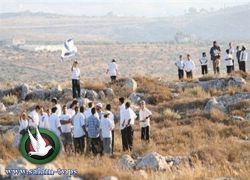 مستوطنون يختطفون اربعة شبان من طولكرم وينكلون بهم