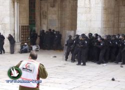 اسرائيل تهدد بحزم وصرامة ضد اية محاولة لاحتجاج على الفيلم غدا بالاقصى