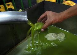 اصابة مواطن اثر محاصرة يده داخل معصرة زيتون
