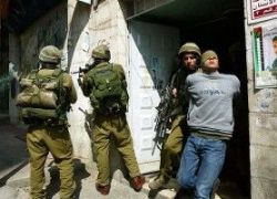 قوات الاحتلال تعتقل 8 شبان فلسطينيين في الضفة‏ الغربية