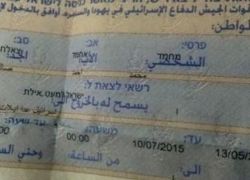 ماذا حققت إسرائيل من وراء 335 ألف تصريح؟
