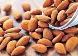 فوائد مذهله ... ماذا يحدث للجسم عند تناول اللوز يوميا؟