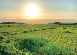 درجات الحرارة فوق المعدل ب 4 درجات