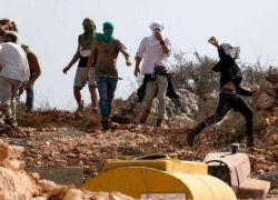 بهدف الاستيلاء عليها: مستعمرون يحرثون أراضي في بلدة سنجل قرب رام الله