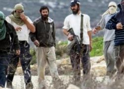 تواصل اعتداءتهم.. مستوطنون يقتحمون تجمعًا بالقدس وينكلون بمواطنين بنابلس