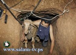 مصرع عاملين واصابة 4 اخرين في نفق على الحدود المصرية الفلسطينية