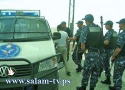 الشرطة تضبط 352 بذرة و 18 شتله مرجوانا في طولكرم