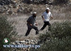 اصابة الشاب محمد البيتوني بجراح متوسطة باعتداء عنصري في راموت