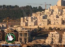ايطاليا: نمو الاستيطان تآكل تدريجي للأراضي الفلسطينية