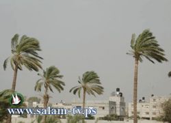 حالة الطقس: أجواء خماسينية حتى يوم الأحد