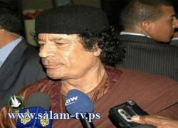 القذافي: هاي آخرتها تطمع فيكم الحمير..شو احنا فلسطينيين ولا صوماليين