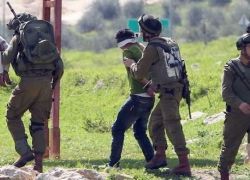 قوات الاحتلال الاسرائيلي يعتقل فلسطينيين بحجة القاء الحجارة قرب نابلس