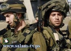 بالفيديو ـ جندي يلقي حجرا على فلسطيني في الخليل ويسجن 10 ايام