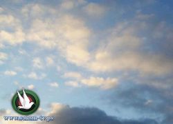 حالة الطقس استمرار الأجواء الحارة والجافة