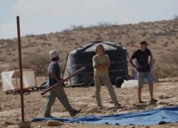 أريحا: اصابة 4 متضامنين أجانب أحدهم بحالة خطيرة بهجوم للمستوطنين