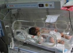 قطاع غــزة يُسجل 4421 مولوداً جديداً خلال يوليو