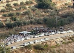 مستوطنون يقتحمون واد ريا شمال غرب رام الله بحماية قوات الاحتلال ويغلقون عدة شوارع