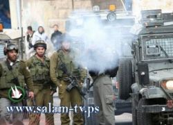 مواجهات عنيفة في 'بطن الهوى' بسلوان ووقوع إصابات متعددة بالرصاص الحي مواجهات عنيفة في 'بطن الهوى' بسلوان ووقوع إصابات متعددة بالرصاص الحي
