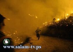 تشخيص 25 جثة من قتلا حريق الكرمل وهناك مفقودين