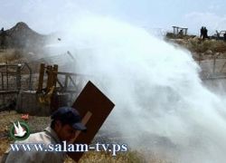 اصابات واعتقالات في مسيرات الضفة في ذكرى النكبة
