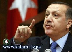 أردوغان: لن نقف مكتوفى الأيدى إذا احترقت غزة
