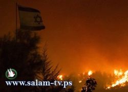 حريق مشتعل في ديمونه منذ 30 يوماً والاحتلال لا يستطيع السيطرة