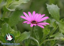 حالة الطقس: درجات الحرارة فوق معدلها السنوي