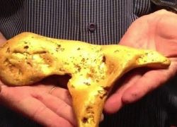 بالفيديو .. أسترالي يعثر على سبيكة ذهب وزنها 5.5 كيلو جرام