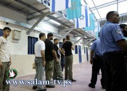 إدارة سجن النقب تجبر الأسرى على إجراء فحص D.N.A