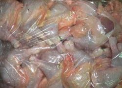 ضبط 400 كغم من الدجاج غير الصالح للاستهلاك في قلقيلية