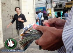 دولار 3.77- يورو 4.96- د.اردني 5.32- ج.مصري 0.62 شيقل