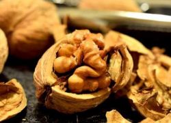 8 فوائد مذهلة للجوز بالنسبة للشعر والبشرة