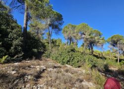 الطقس: استمرار تأثر البلاد بالكتلة الهوائية الحارة